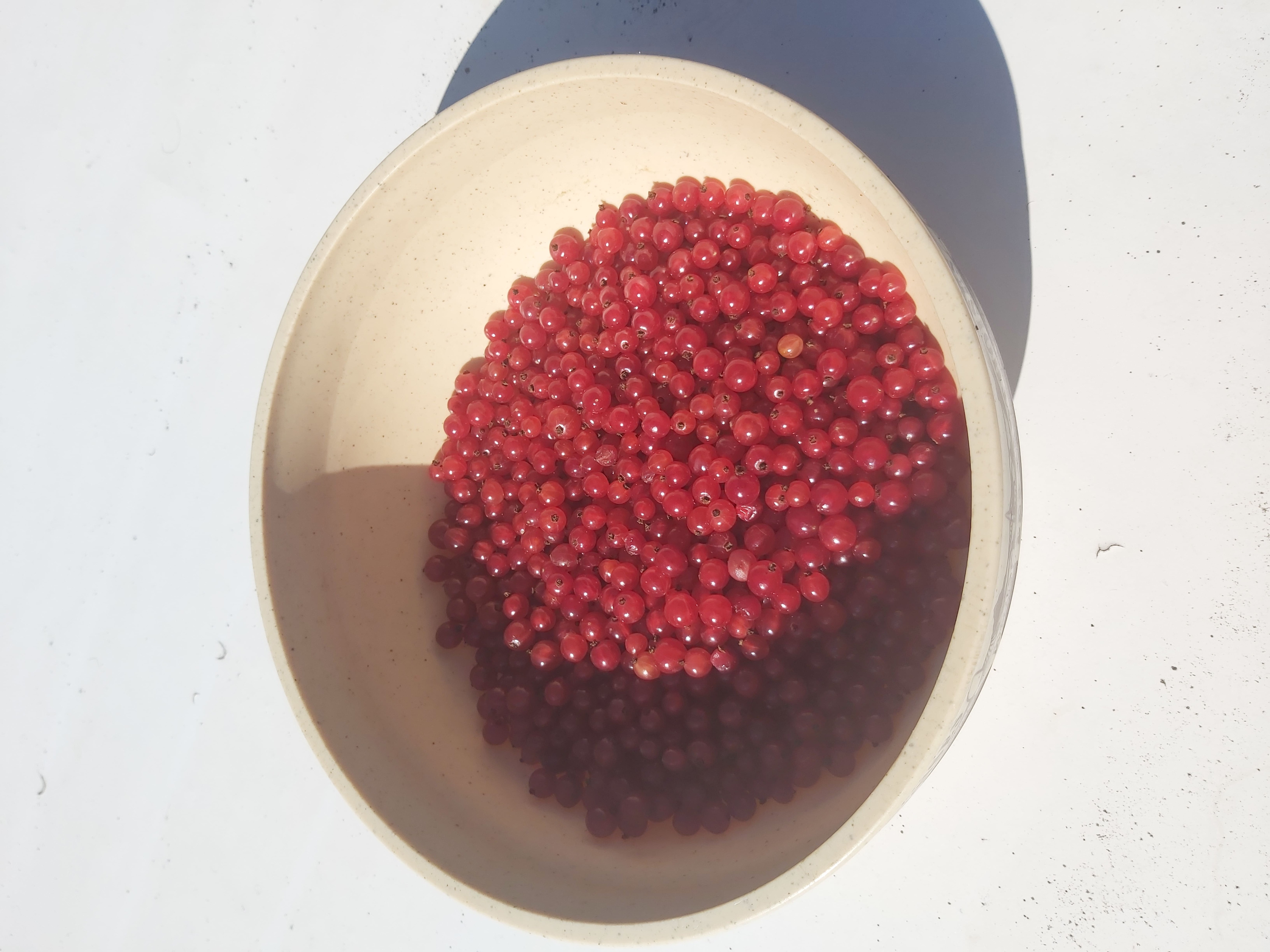 vrac groseille rouge