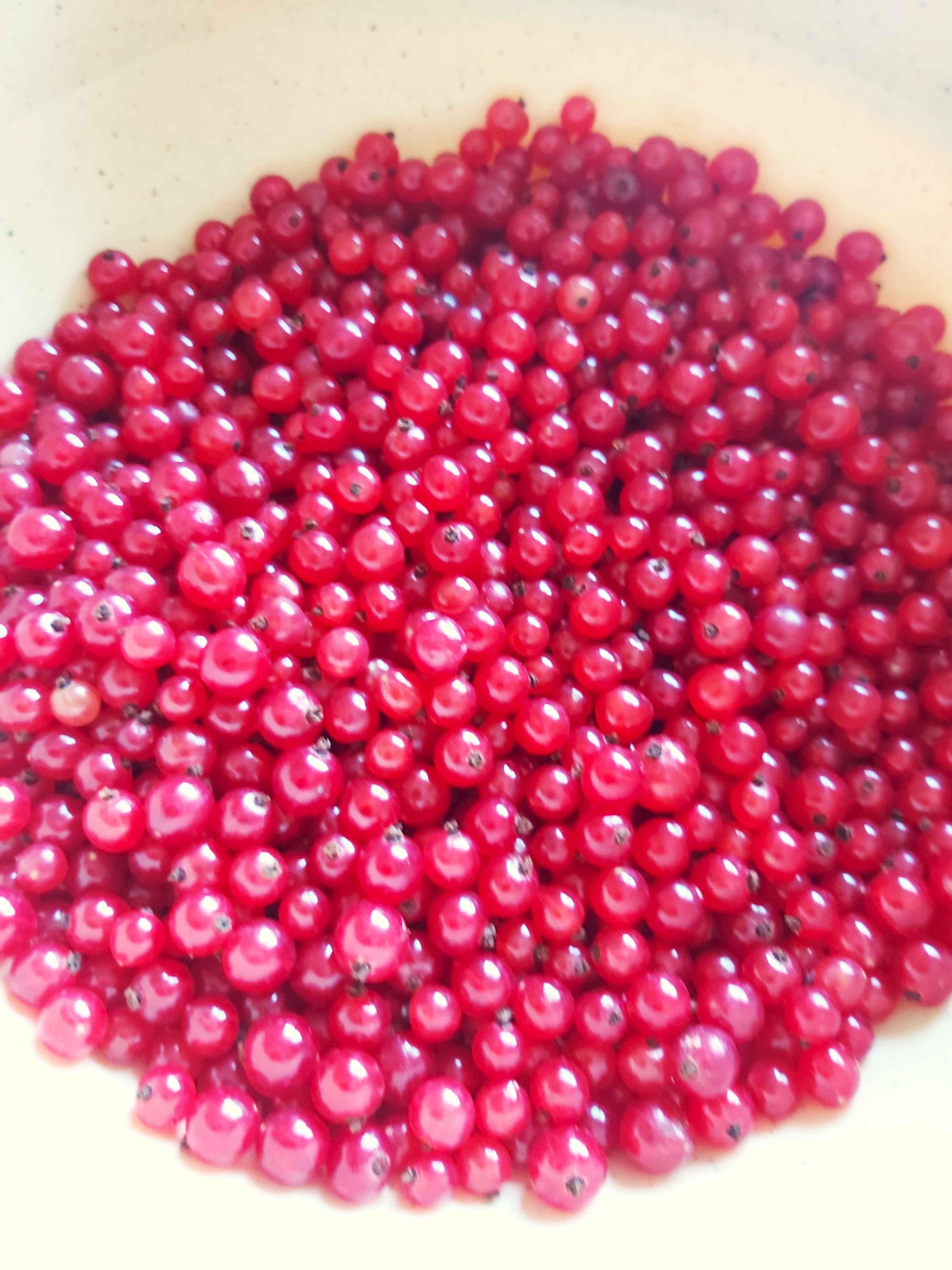 vente vrac de groseilles rouge