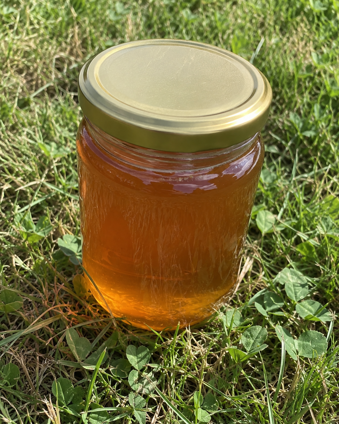 Miel de fleurs savoyard