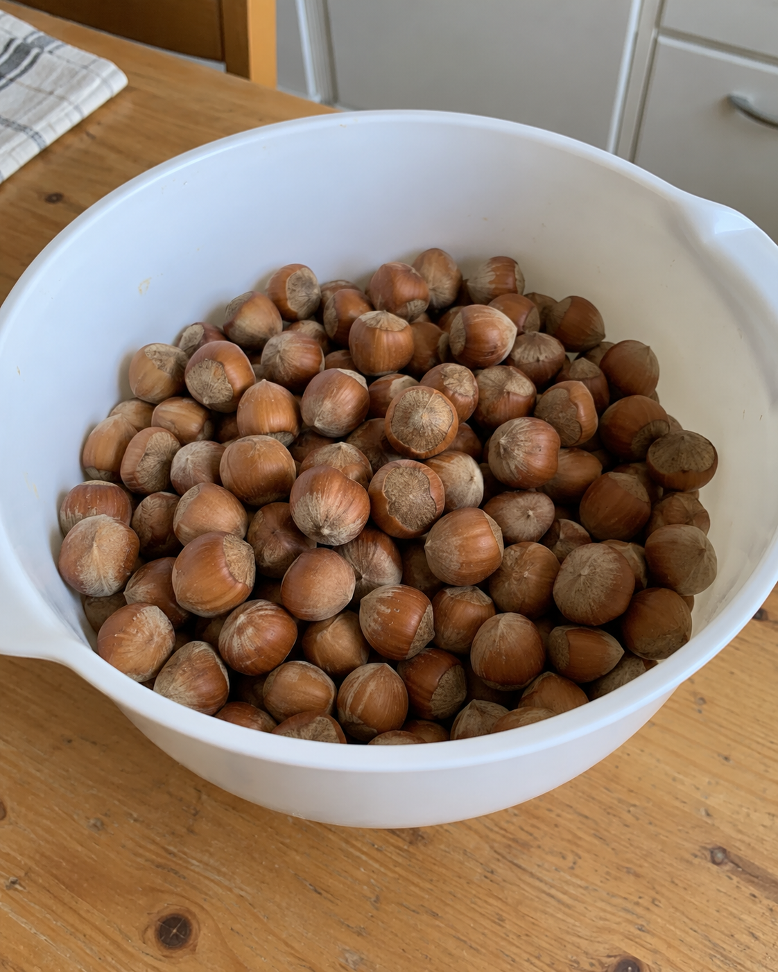 Noisette seches non décortiquées