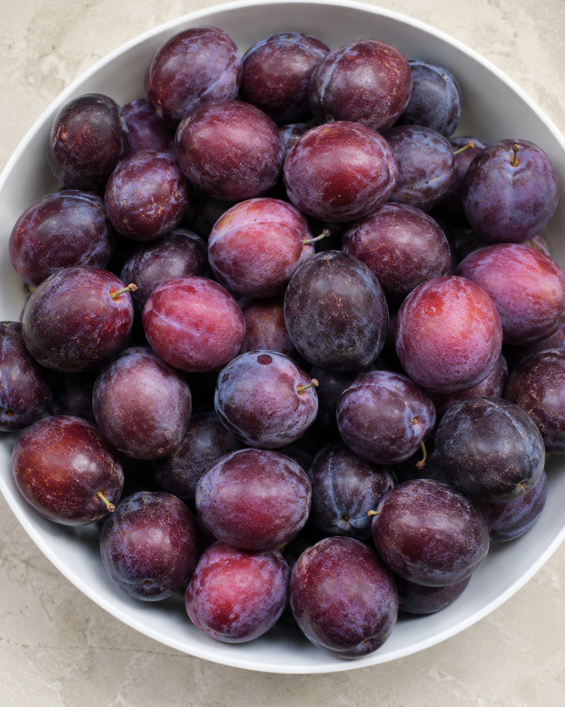 Prune quetsche