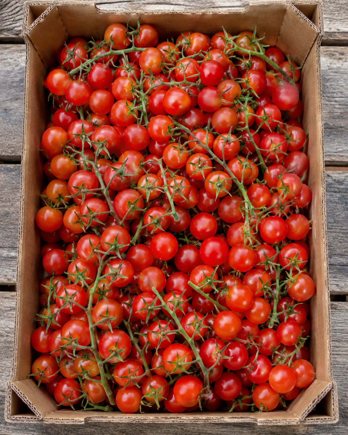 tomates cerises fraiches