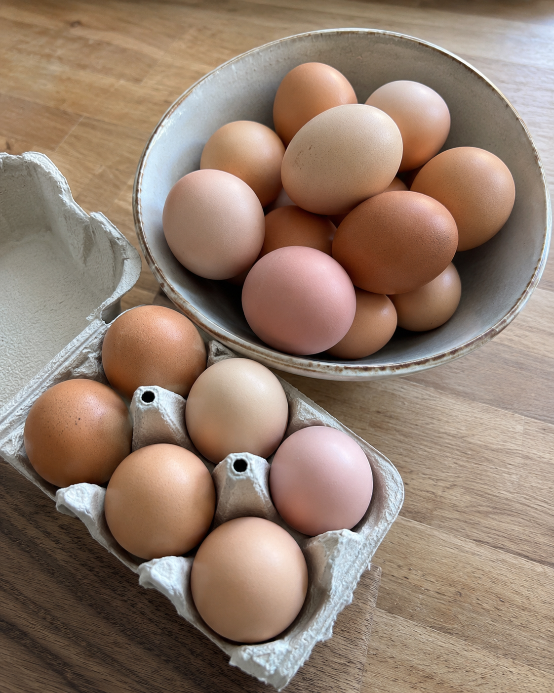 Oeufs frais