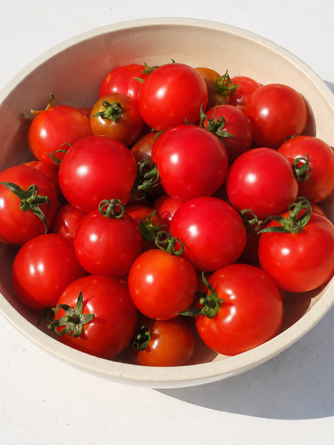 tomates fraiches (sans traitement et pesticides)